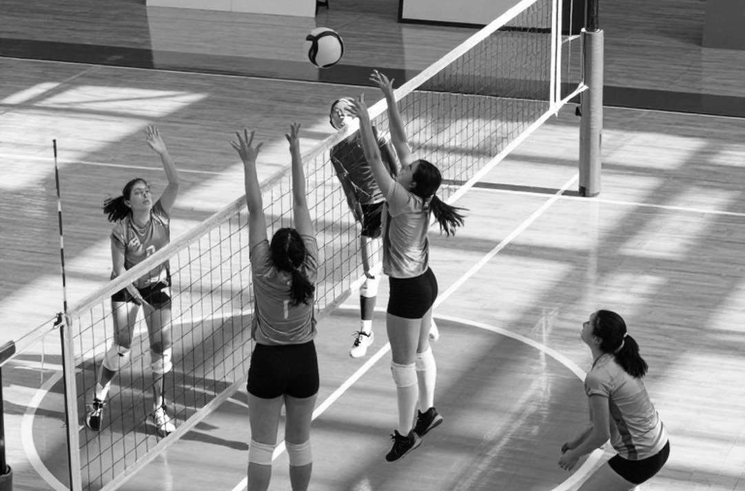 Showdown at the Net 2026: ACC và SEC đối đầu tại Disney World – Cuộc chiến định vị bóng chuyền nữ NCAA